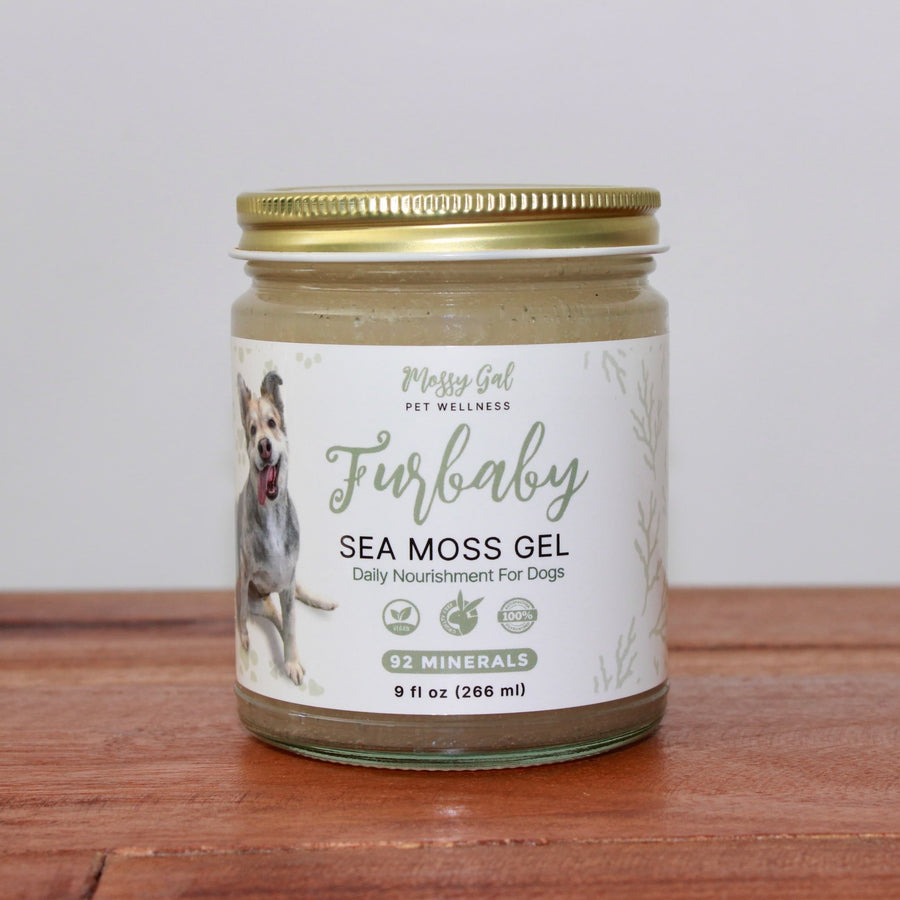 Furbaby Sea Moss Gel-Pet Supplement