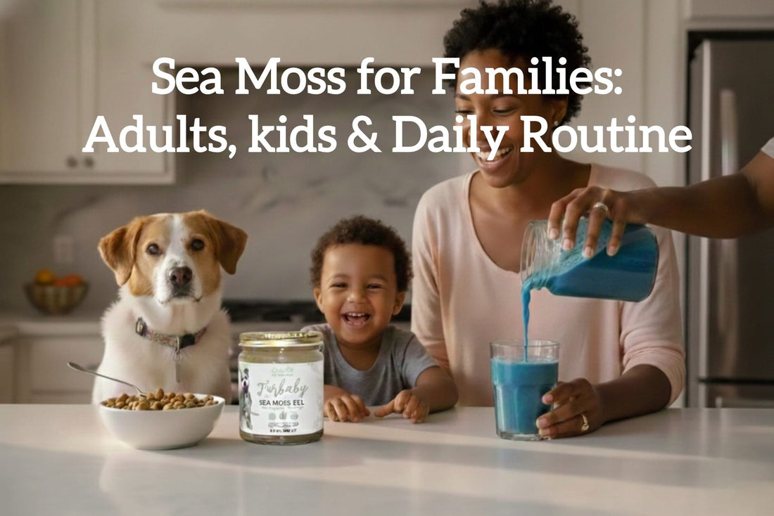 Sea Moss for Families: Adults, Kids & Daily Routines