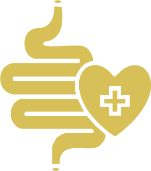 Gut Health