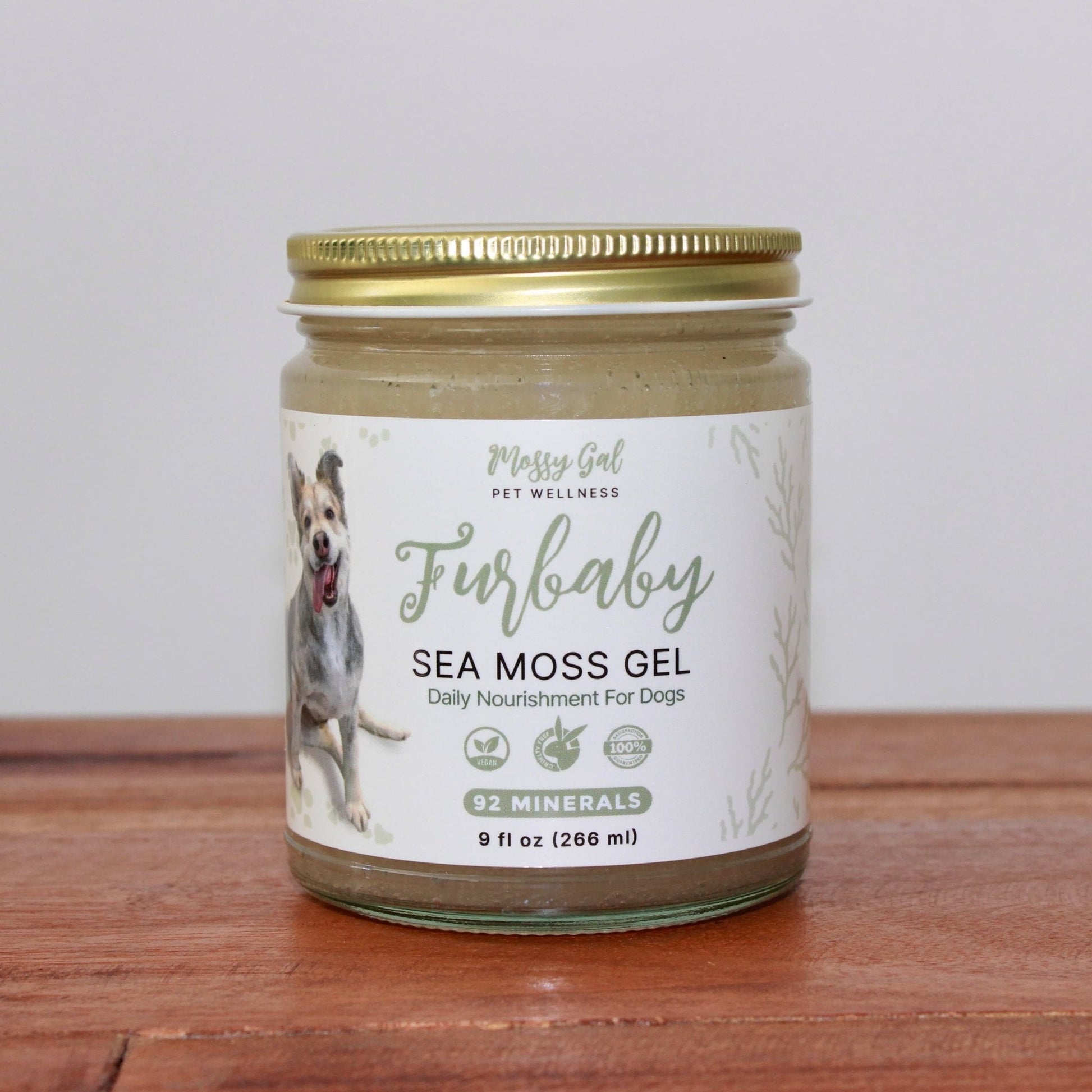 Mossy Gal FurBaby Sea Moss Gel – Pet wellness gel in 16 oz jar.